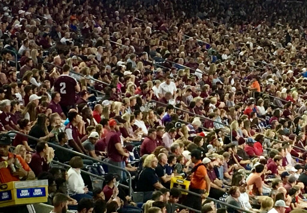 Full frame Crowd in stadium at football game